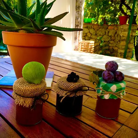 Casa Tatisita Family