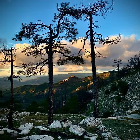 Сasa de vacaciones Rural Casa Tatisita Ii